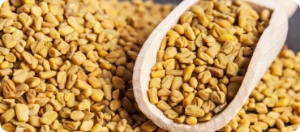 Horny Goat Weed male vitality and physical endurance