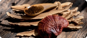Grape Seed antioxidant stamina support supplement